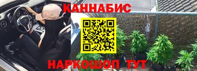индика Шелехов