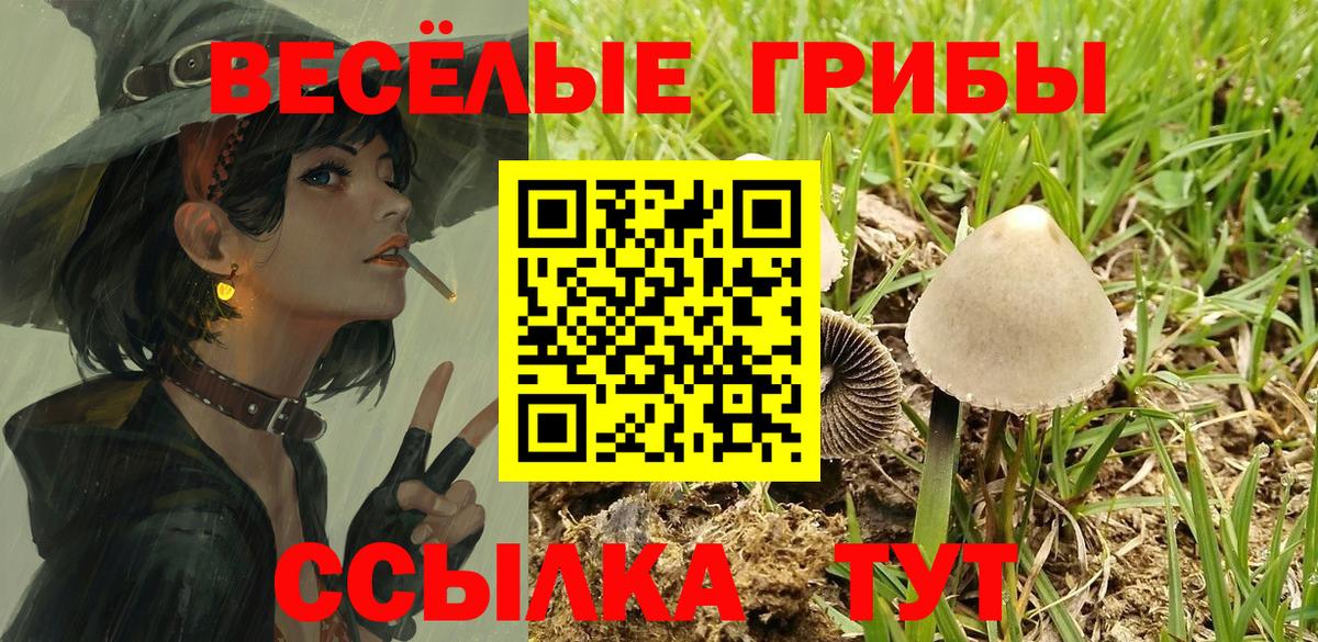 Галлюциногенные грибы мицелий Карачаевск