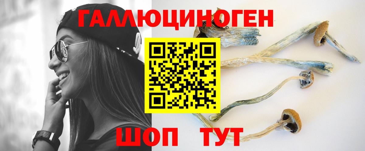 Псилоцибиновые грибы ЛСД  Галлюциногенные грибы MAGIC MUSHROOMS  Карачаевск  Вход с VPN 
